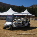 8 Seater Golf Carts 6+2 Persons Electric Car